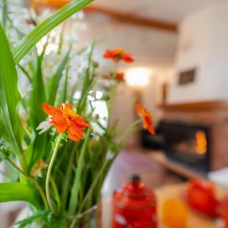 Kuca Za Odmor Danica Cabar