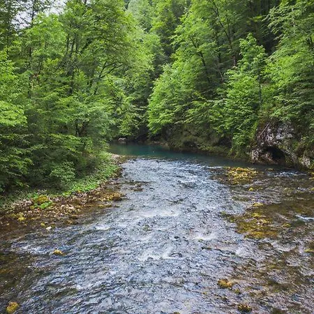 Chalet Kuca Za Odmor Danica