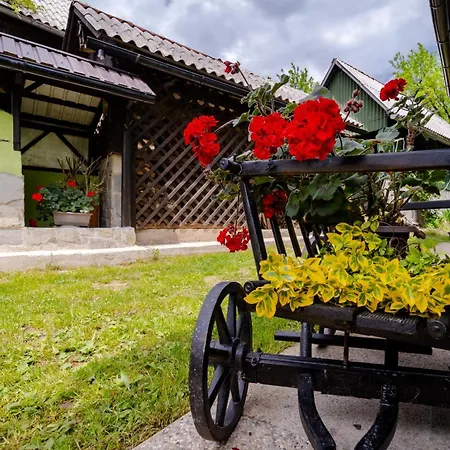 Chalet Kuca Za Odmor Danica *